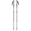 Black Diamond Alpine C Cork WR Trek Poles - Walking Poles