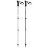 Backcountry Carbon 2.0 - Walking Poles