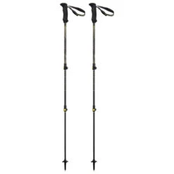 Backcountry Carbon 2.0 - Walking Poles