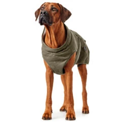 Hunter Dog Coat Uppsala Trend - Dog Coat -Outwell Store hunter dog coat uppsala trend dog coat detail 7