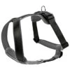 Hunter Harness Neoprene - Dog Harness -Outwell Store hunter harness neoprene dog harness