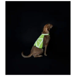 Hunter Reflective Safety Vest - Dog Coat -Outwell Store hunter reflective safety vest dog coat detail 3