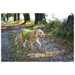 Hunter Reflective Safety Vest - Dog Coat -Outwell Store hunter reflective safety vest dog coat detail 4