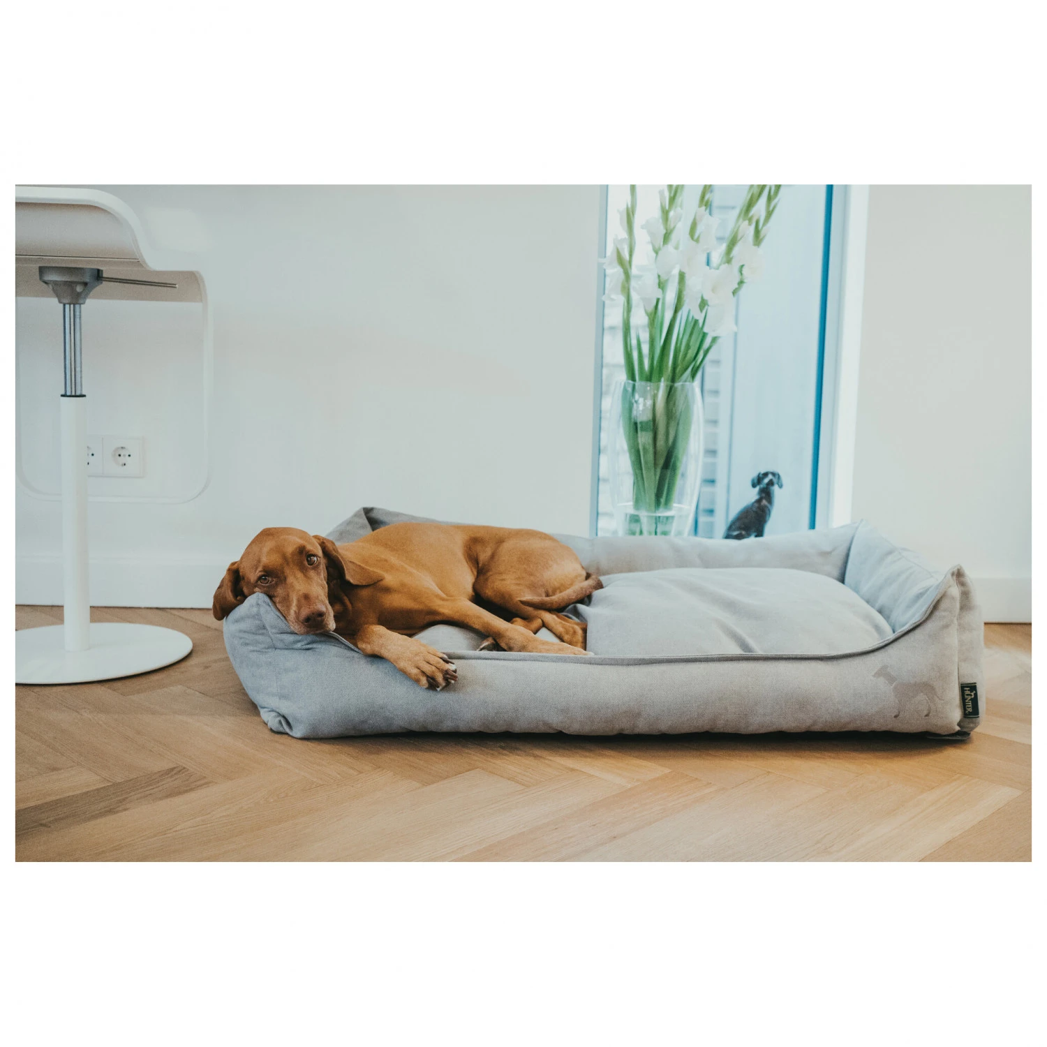 Hunter Sofa Eiby - Dog Accessories 7 Hunter Sofa Eiby - Dog Accessories - Image 5