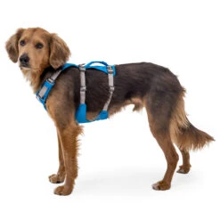 Ruffwear Flagline Harness - Dog Harness 11 Ruffwear Flagline Harness - Dog Harness -Outwell Store ruffwear flagline harness dog harness detail 5