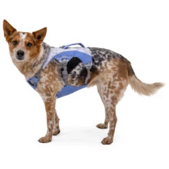 Ruffwear Swamp Cooler Harness - Dog Harness 9 Ruffwear Swamp Cooler Harness - Dog Harness -Outwell Store ruffwear swamp cooler harness dog harness detail 4
