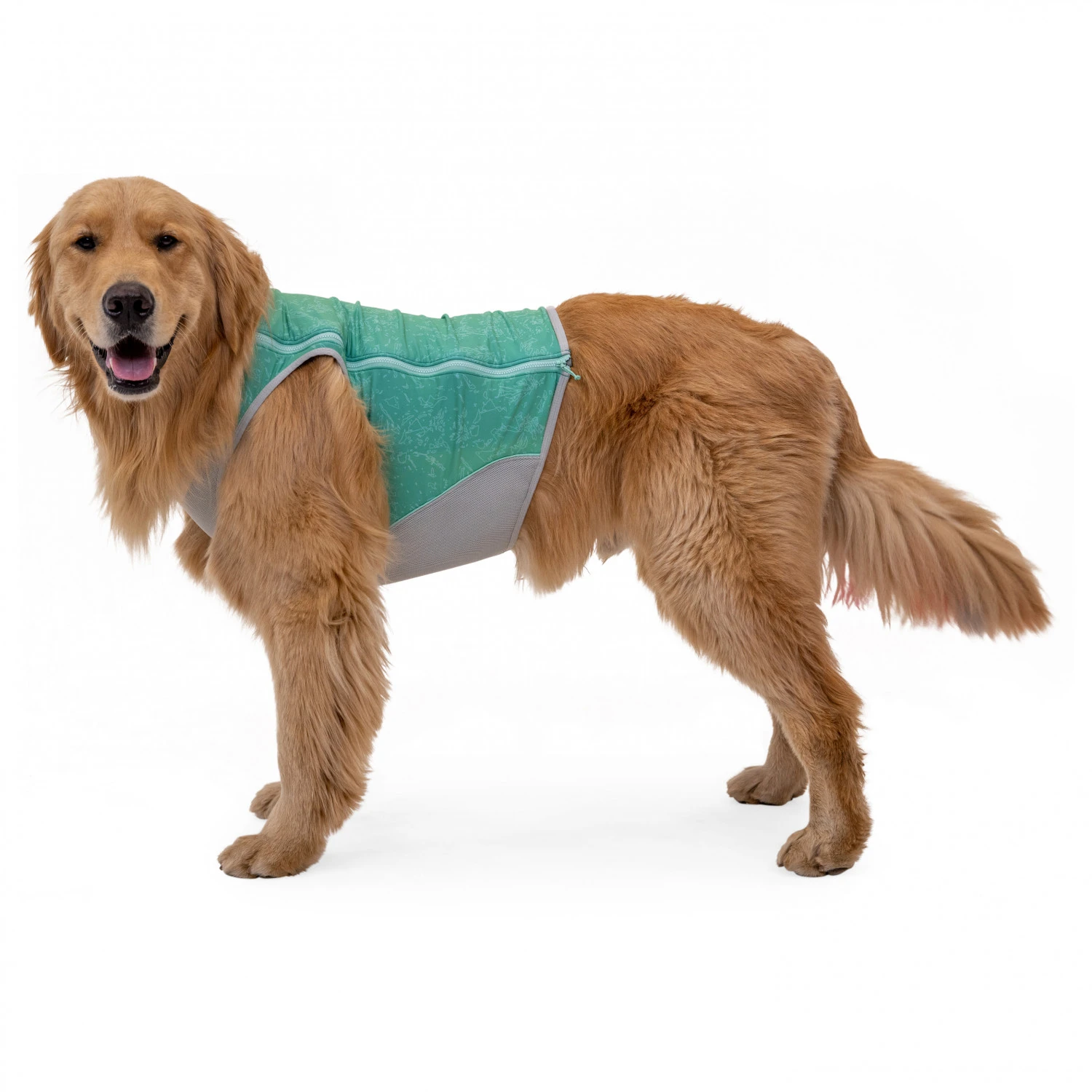 Ruffwear Swamp Cooler Zip Vest - Dog Coat 7 Ruffwear Swamp Cooler Zip Vest - Dog Coat - Image 5